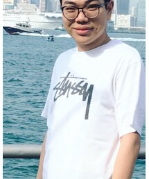 STUSSY | Tシャツ/カットソー