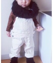 ダイソー | ストール/ショール