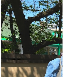 NEW ERA | キャップ