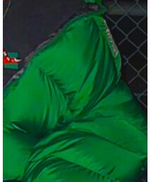 THE NORTH FACE | ダウンジャケット/コート