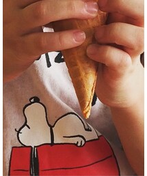 STUSSY | Tシャツ/カットソー