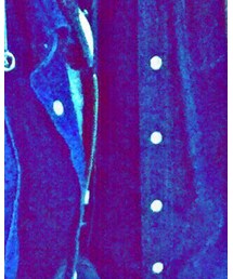 SHOTO | シャツ/ブラウス