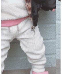 Birthday | レギンス/スパッツ