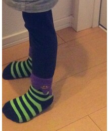 靴下屋 | ソックス/靴下