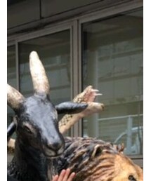 大山羊 | 付け襟