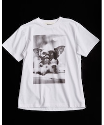 THE SHINZONE | Tシャツ/カットソー