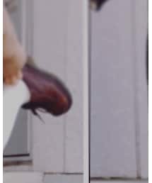 Dr. Martens | ブーツ