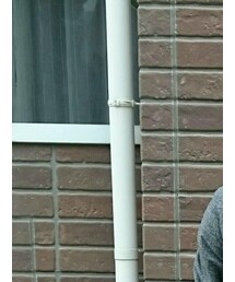 SEVENDAYS SUNDAY | チェスターコート