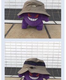 THE NORTH FACE | 帽子