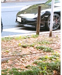 DKNY DONNA KARAN NEW YORK | ジャケット/アウター