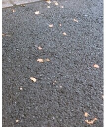 DKNY DONNA KARAN NEW YORK | パンツ