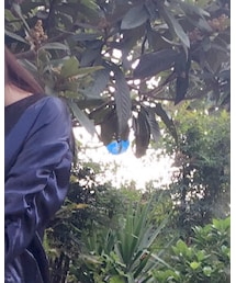 sorriso | ジャケット/アウター