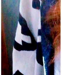 AVAN LILY | Tシャツ/カットソー