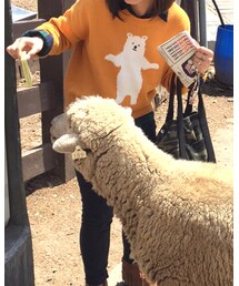 UNIQLO | シャツ/ブラウス