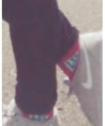 Lee | ソックス/靴下