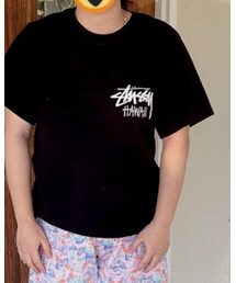 STUSSY | Tシャツ/カットソー
