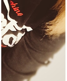 Norton | Tシャツ/カットソー