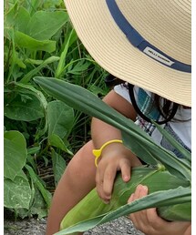 HOLLYWOOD RANCH MARKET | Tシャツ/カットソー