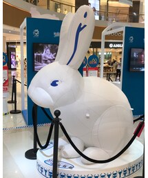 weibo:葵葵酱很好吃 | その他