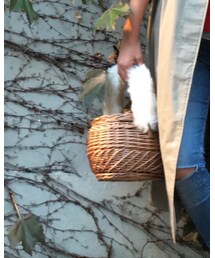 DONOBAN | かごバッグ