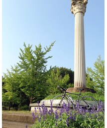 サイクリング | その他