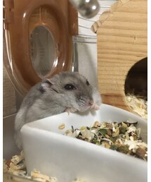 悟り | その他