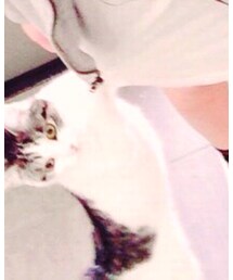 ポチョムキン🐈 | その他