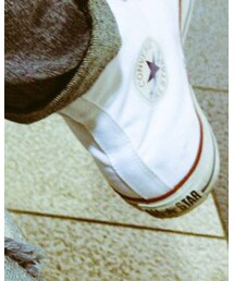 CONVERSE | スニーカー