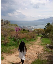 桜🌸 | その他