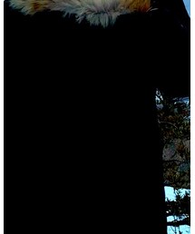 BEAUTY&YOUTH UNITED ARROWS | ダウンジャケット/コート