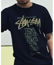 STUSSY | Tシャツ/カットソー