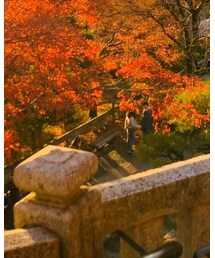 hoshihime | スーツジャケット