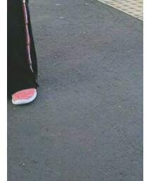 AVIREX | スニーカー