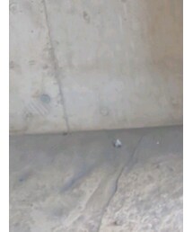 PUMA | スニーカー