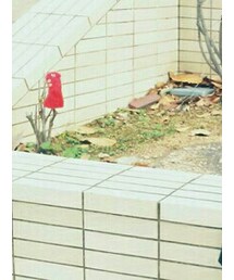 💘 | ソックス/靴下