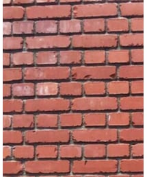 Tシャツは10年前買ったギャルソン | Tシャツ/カットソー