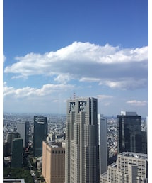 パークハイアット東京 | その他