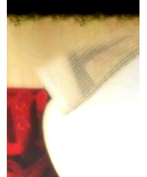 SUPRA | キャップ