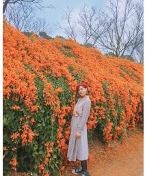 she | シャツワンピース