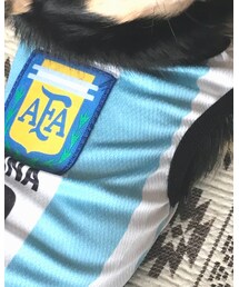 メッシ | ベスト