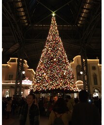 🎅🎄 | その他