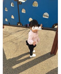 🐹 | その他