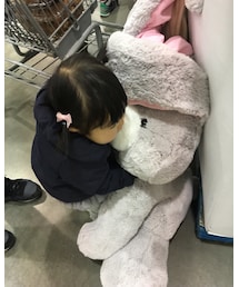 うさちゃんギュッ🐰 | その他