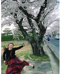 お花見🌸 | その他