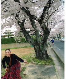 お花見🌸 | その他