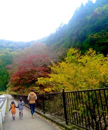 自然✨✨✨ | その他