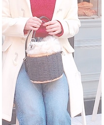 ZARA | かごバッグ