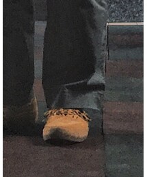 VANS SYNDICATE | スニーカー