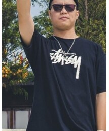 STUSSY | Tシャツ/カットソー