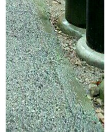 SLOW Wear Lion | ブーツ